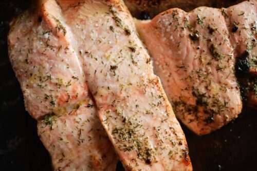 grilled fish with white sauce_keraliresto.com grilled fish with white sauce_keraliresto.com